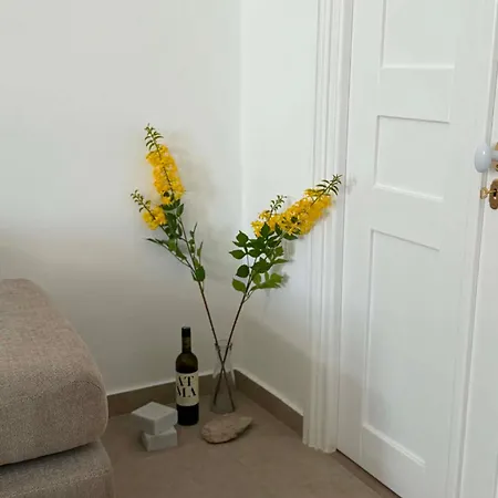 Apartment Elia's Islandhomes A